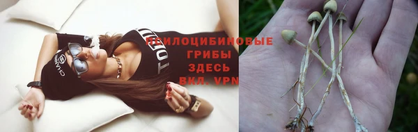 наркотики Бородино