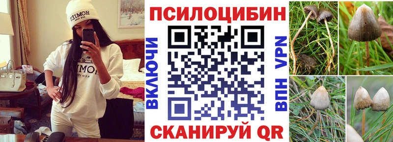 Псилоцибиновые грибы Psilocybe  блэк спрут   Волжск 