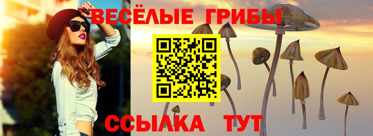 Волжск  Псилоцибиновые грибы мухоморы  Вход с VPN 