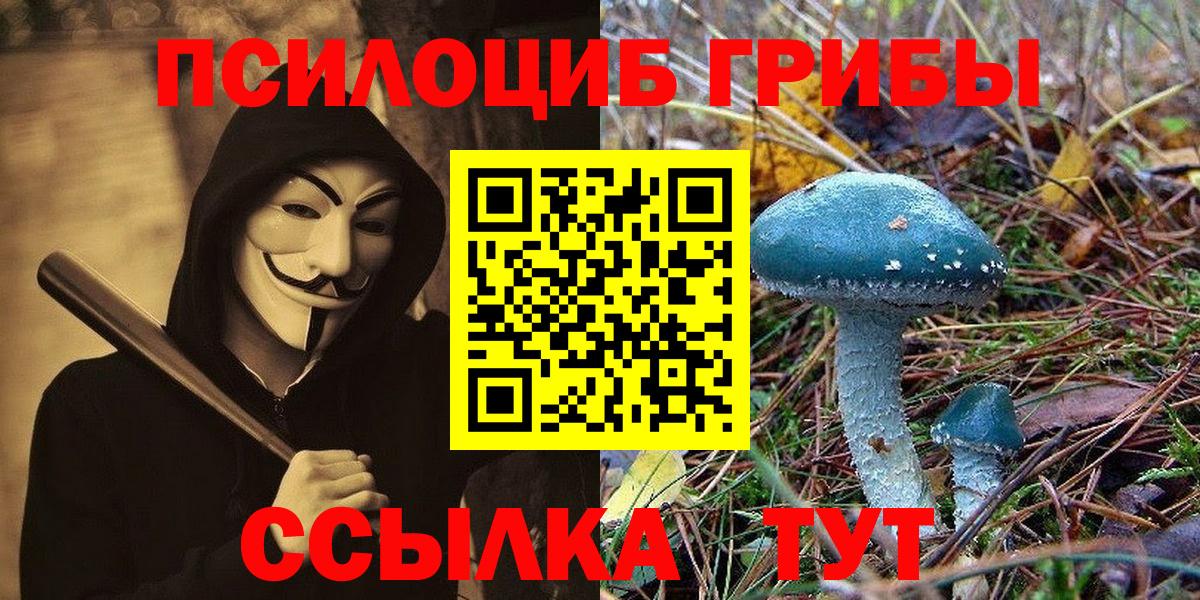 Галлюциногенные грибы Psilocybine cubensis Волжск